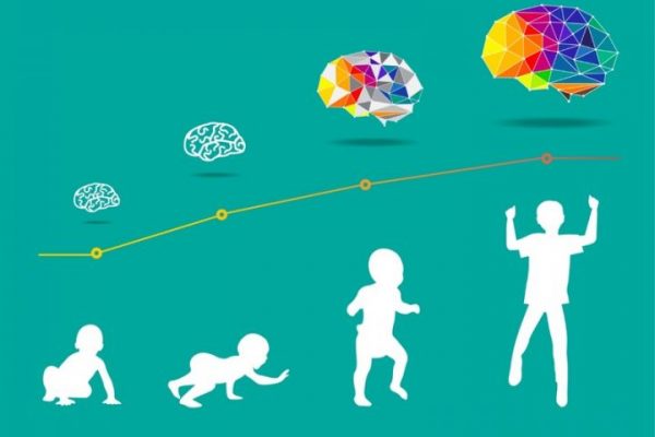 The First 5 Years Of A Child’s Brain Development